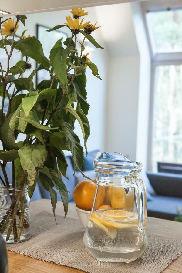 New Scandinavian Style Apartment In Nida Εξωτερικό φωτογραφία